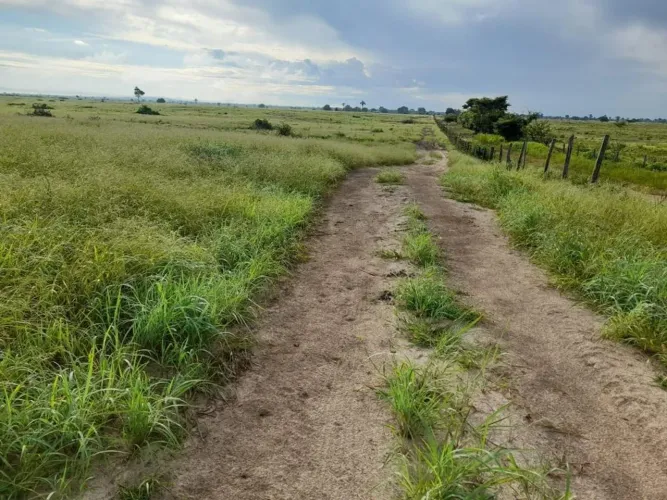 Fazenda à venda com 4645 ha, Carinhanha - Bahia