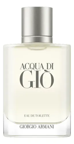 Perfume Giorgio Armani Acqua Di Gio Eau de Toilette 100ml