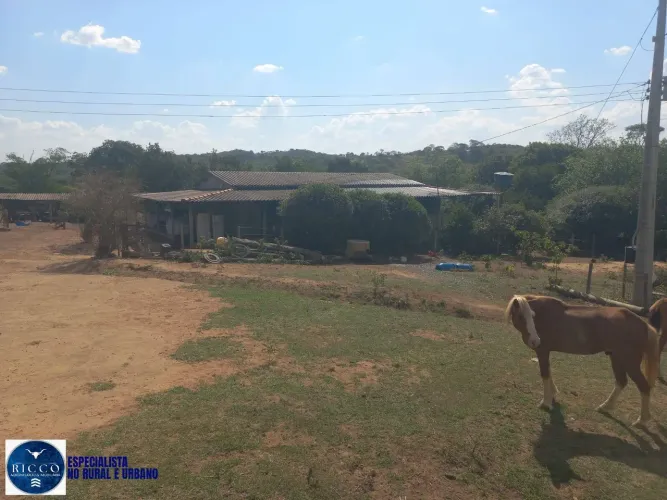 Chácara à Venda em Leopoldo de Bulhões GO 4 Alqueires