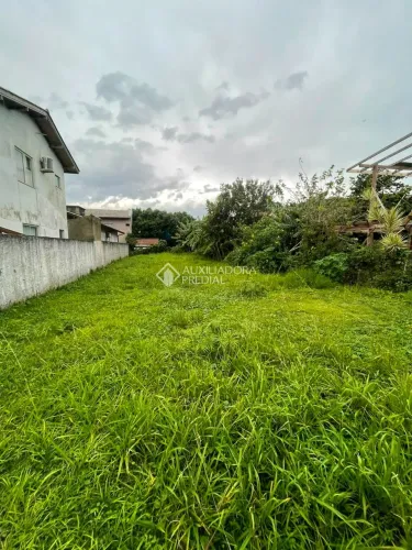 Terreno - Morro das pedras