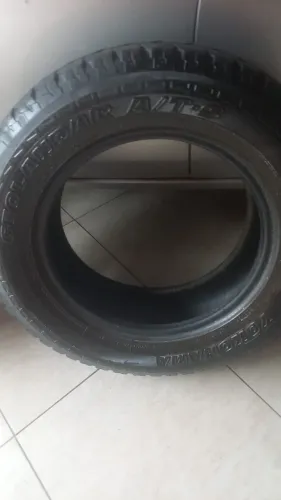 Peneis pireli 235