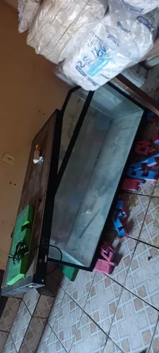 Aquario curvo 
