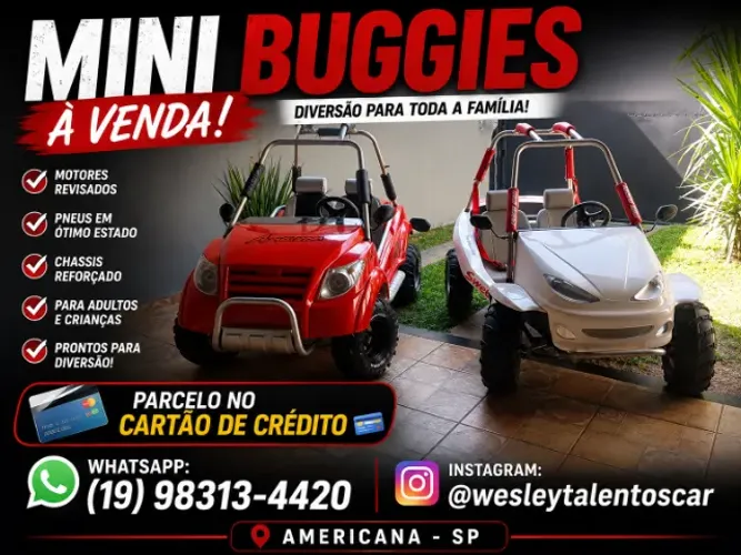 Mini Buggy Fapinha xingu Cross Swelll 