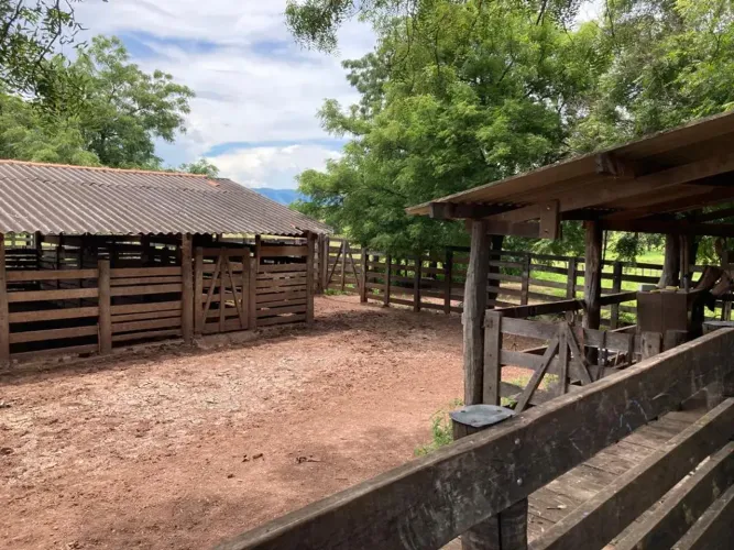 FAZENDA À VENDA NA BR-020 1.355 HECTARES, EXCELENTE ESTRUTURA E POTENCIAL AGRÍCOLA | GOIÁ