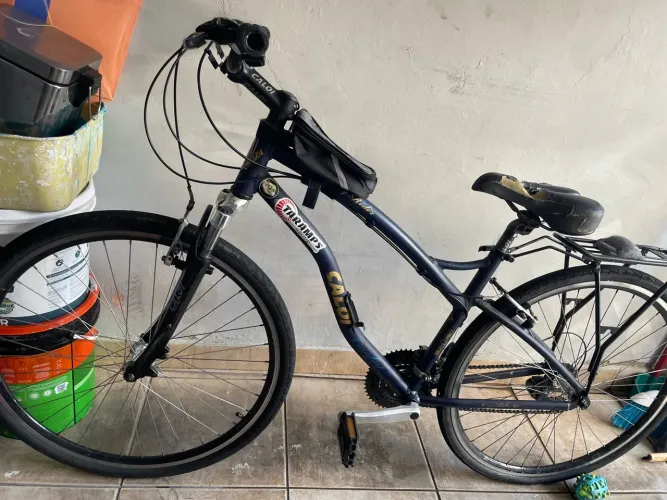 Bicicleta aro 29 easy rider