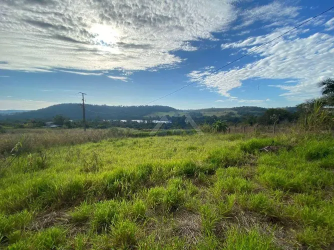 Chácara à venda, 10000 m² por R$ 350.000,00 - Vila Rural - Ibiporã/PR