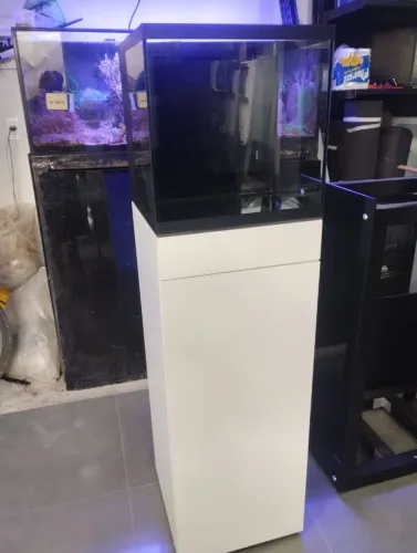 Aquario apronta entrega 