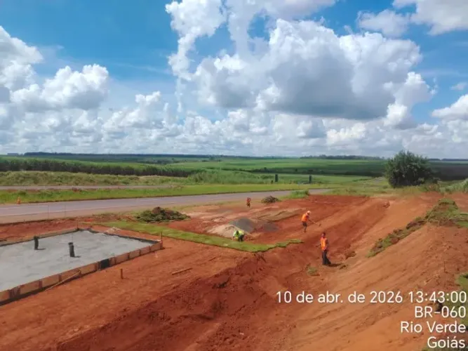 Grama Esmeralda Direto do Produtor Rural Confira 