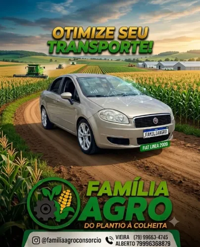 Fiat Linea 1.9/ HLX 1.9/1.8 Flex Dualogic 4P 2009