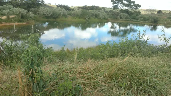 Terreno | Codisburgo