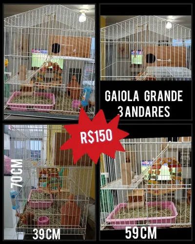 Gaiola Roedores e pássaros