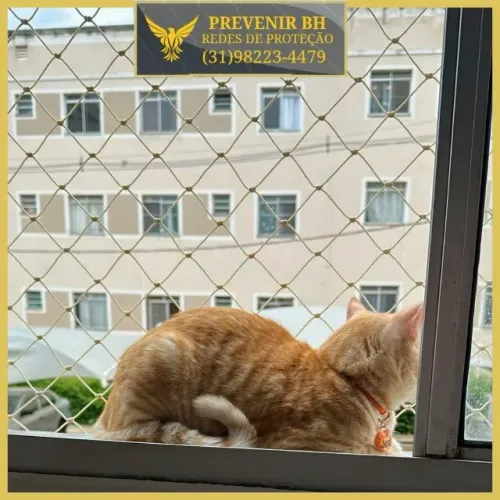 rede para gatos