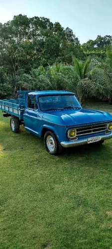 Chevrolet C-10 2.5/4.1 1972