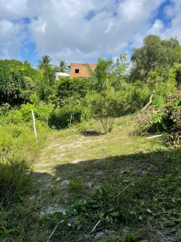 Terreno na linha verde