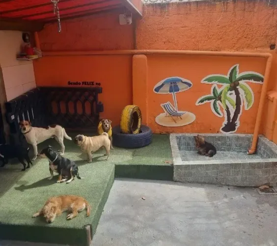 Pet shop / banho e tosa - Passa-se o ponto - casa de esquina
