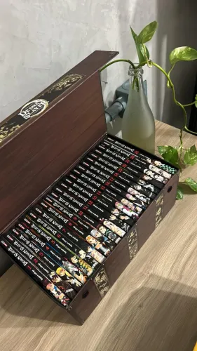 Box Demon Slayer Vols. 1 ao 23