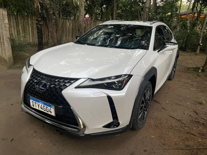 Lexus UX-250H Luxury 2.0 16V Aut.(hybrid) 2019
