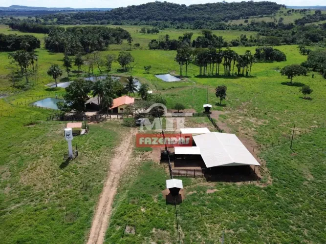 Chácara 5,12 Alqueire (24,78 hectares) Mairipotaba - Go