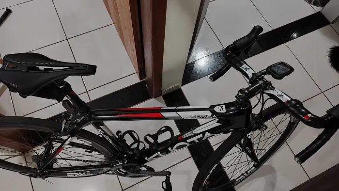 Speed carbono 50