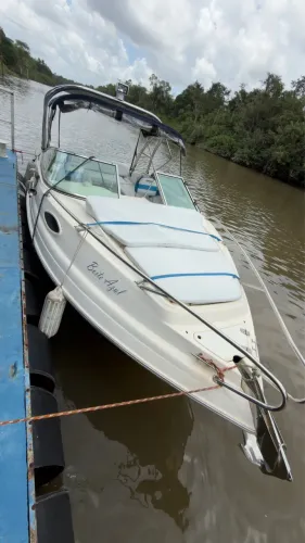 Lancha triton 230