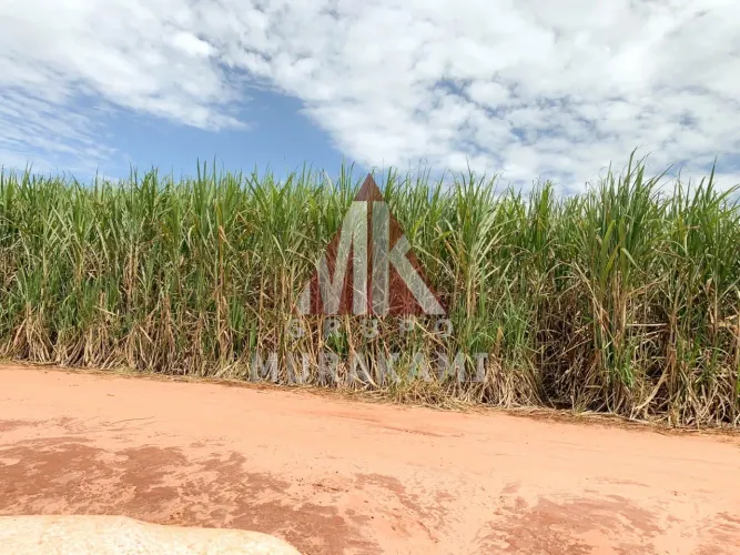 PARANAVAÍ - PARANÁ
