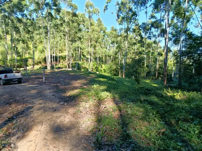 OPORTUNIDADE ÚNICA EM IMARUÍ: Terreno de 10.000m² por apenas R$ 85.000<br>