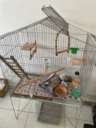 vendo 2 gaiolas com acessórios