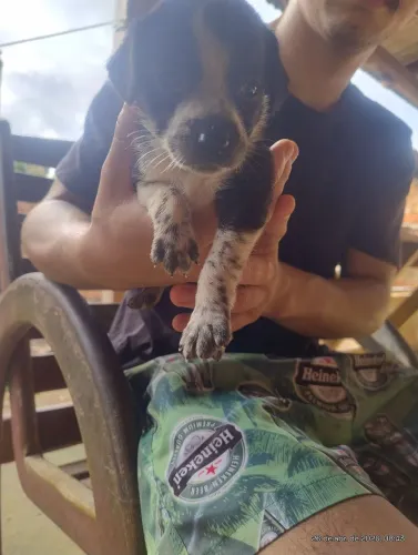 doação 