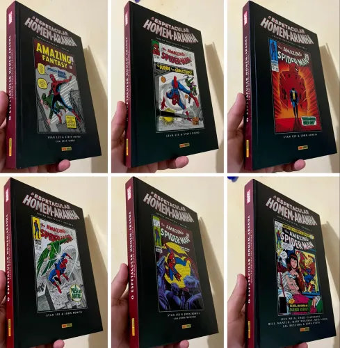 Homem aranha edição definitiva 1 ao 5 + o volume 13, total de 6 hqs 