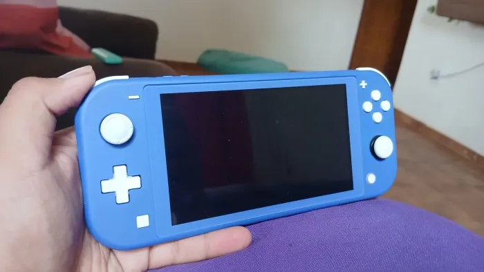 Nintendo switch lite 
