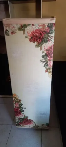 Freezer vertical consul
