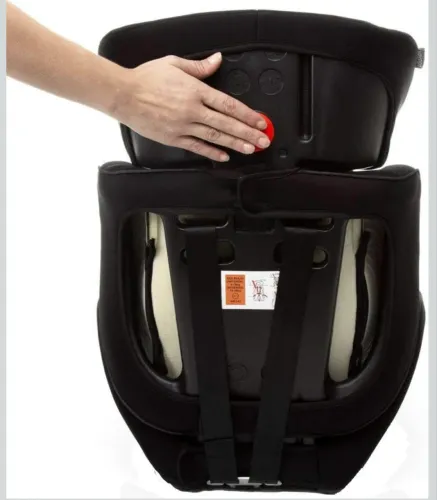 Cadeirinha Para Carro Alfa de 9 a 36kg Voyage - Preto