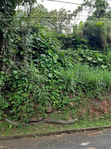 Terreno para Venda em Florianópolis, Centro