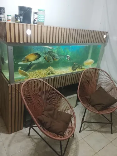 Cadeiras artesanal linda