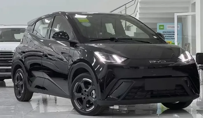 BYD Dolphin Mini (Elétrico) 2025