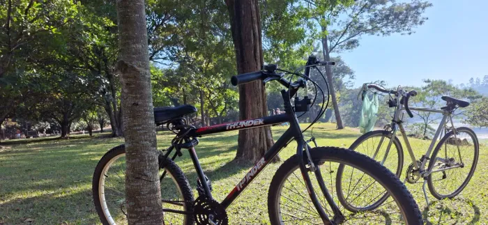 BIKE THUNDER - ARO 26