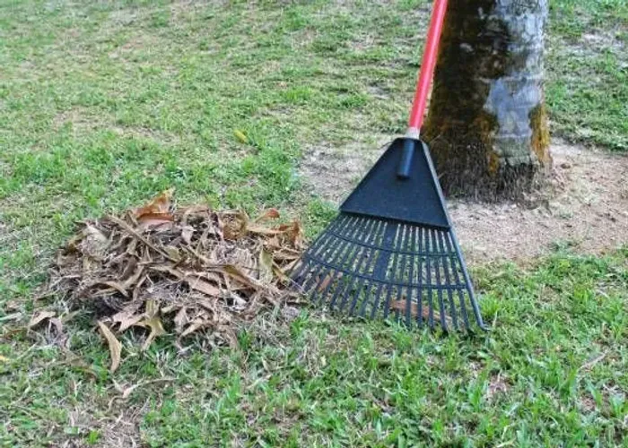 Ajudante serviço de jardinagem