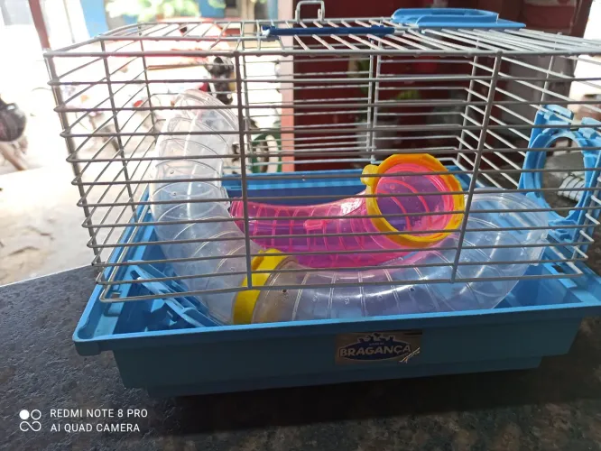 ? Gaiola para Hamster Bragança - Completa