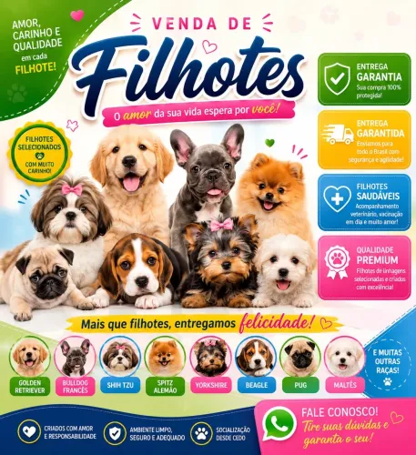 Venda de Filhotes