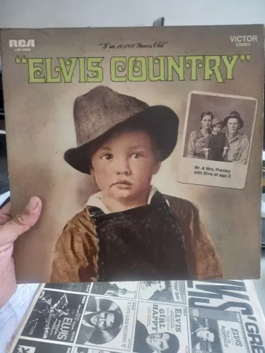 VINIL ELVIS COUNTRY  MADE USA