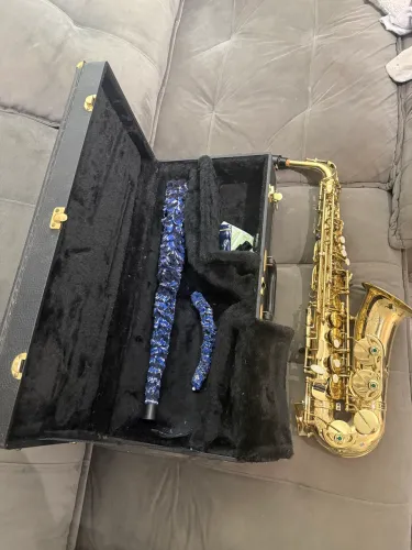 Sax alto Eagle sa 501