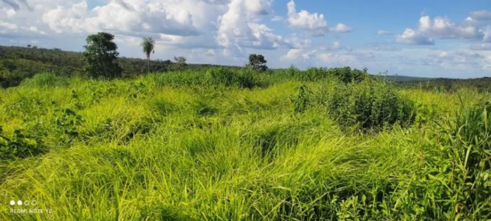 Fazenda no Vale do Araguaia-TO.