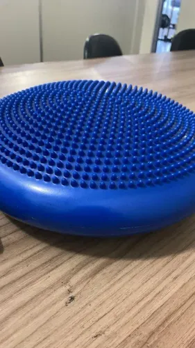 Disco de Equilíbrio para Exercícios