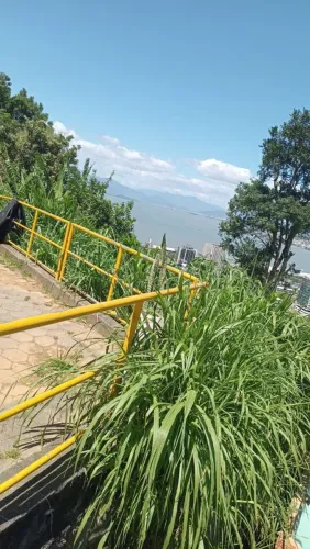  TERRENO FLORIANÓPOLIS CENTRO