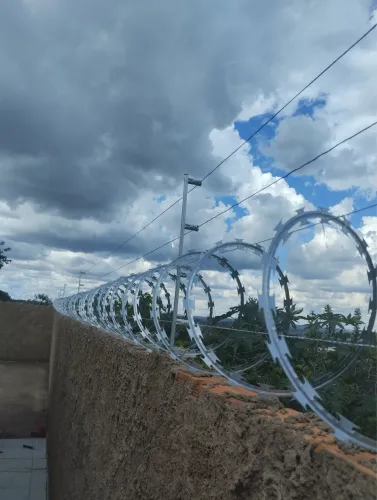 Concertina cerca elétrica
