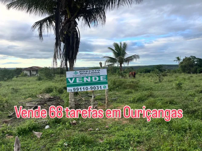 Terreno 68 tarefas em Ouriçangas a 7 mil a tarefa