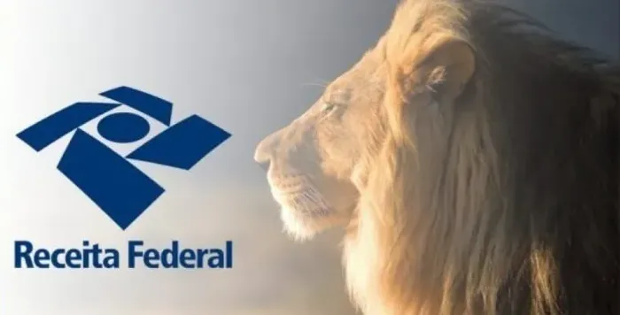 DECLARAÇÃO DE IMPOSTO DE RENDA 