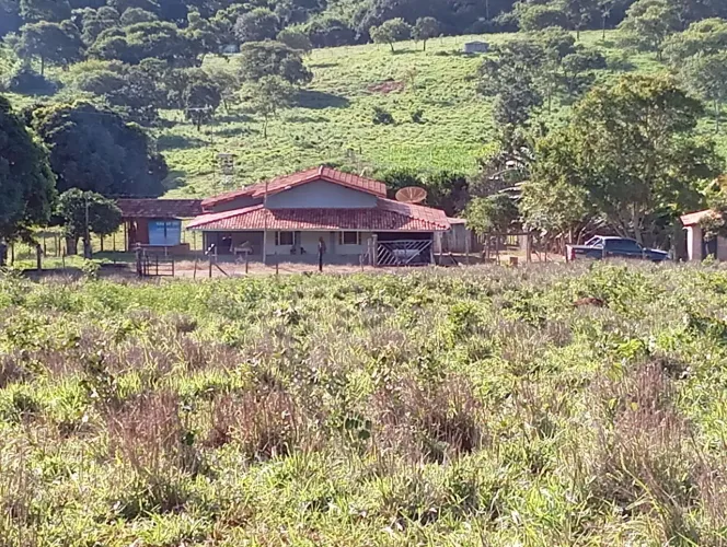 Sitio 11 Hectares,1 hectares irrigado,poço Proprio,caixa dagua 50.000 litros..