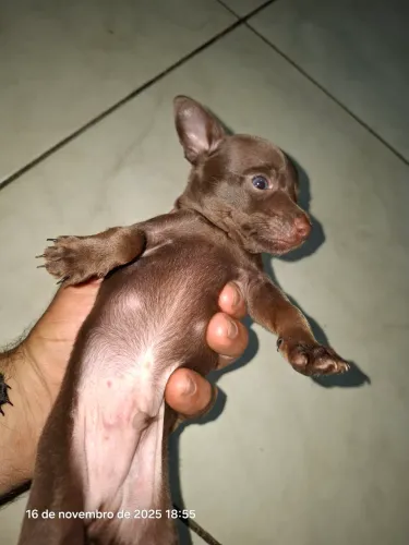 Disponível para reservas 