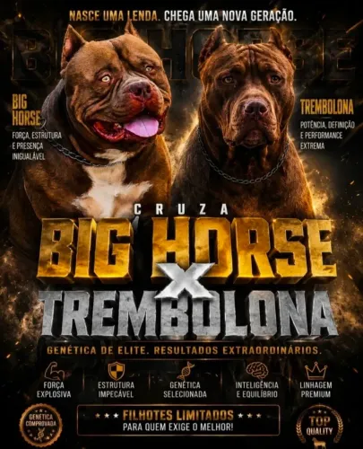 Filhotes de pit monsters pai campeão de pista 